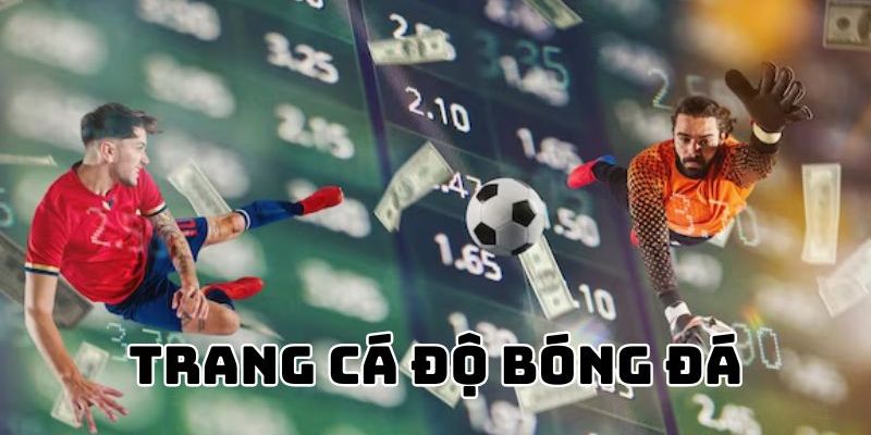 Tiêu chí để chọn trang cá độ bóng đá uy tín