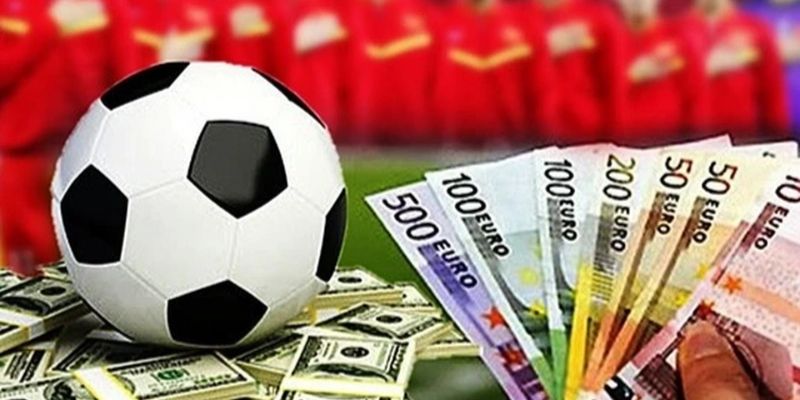 Những lưu ý quan trọng khi tham khảo Câu hỏi thường gặp